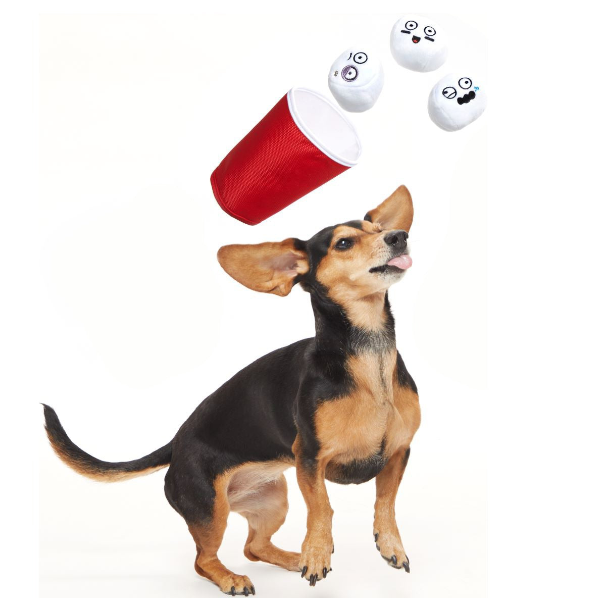 Bark Pong Cup Plush Multi-Part + Fetch Dog Toy