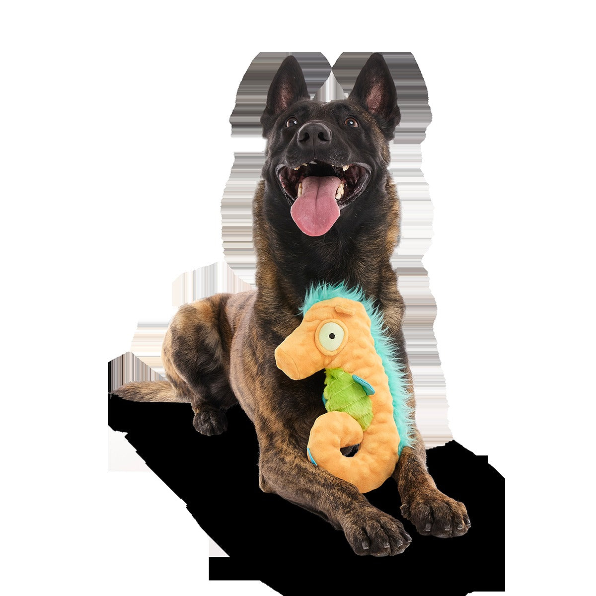Swirlin Shirley the Seahorse Plush Tug Dog Toy