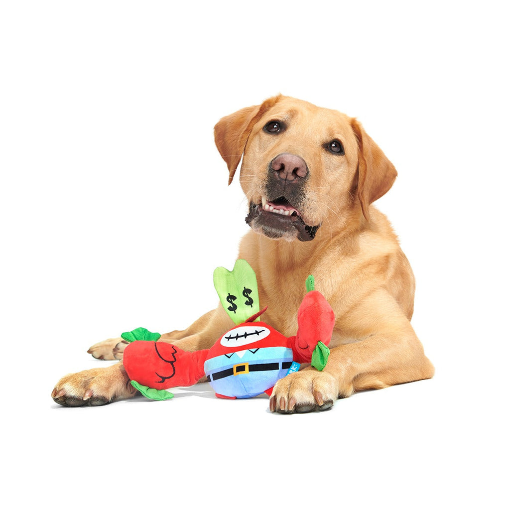Plush SpongeBob Bundle