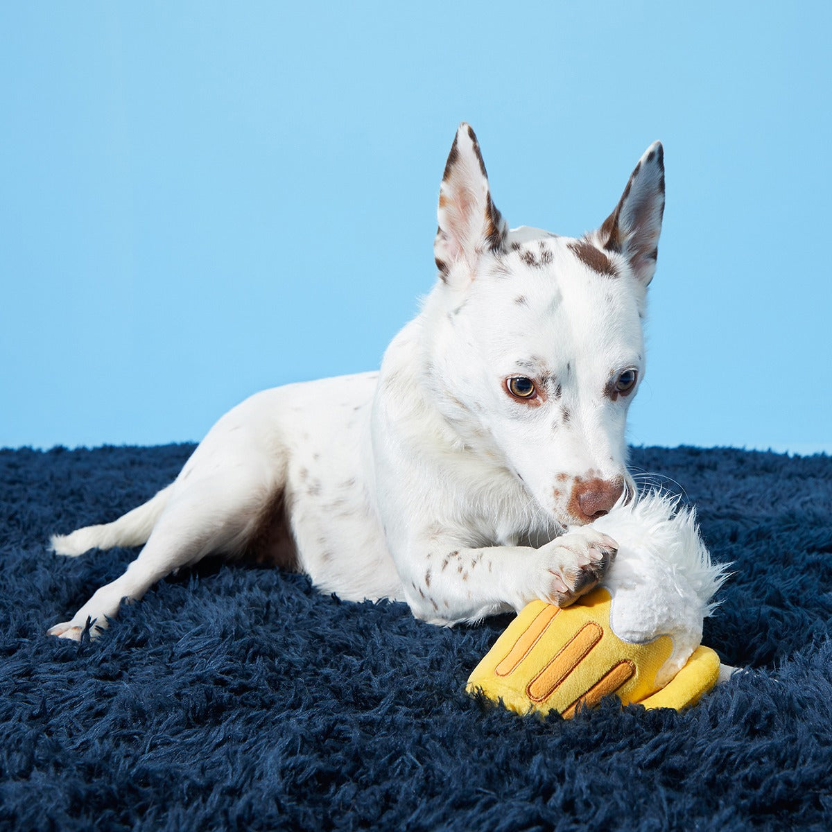 Hair of the Dog Plush 2-in-1 + Tug Dog Toy