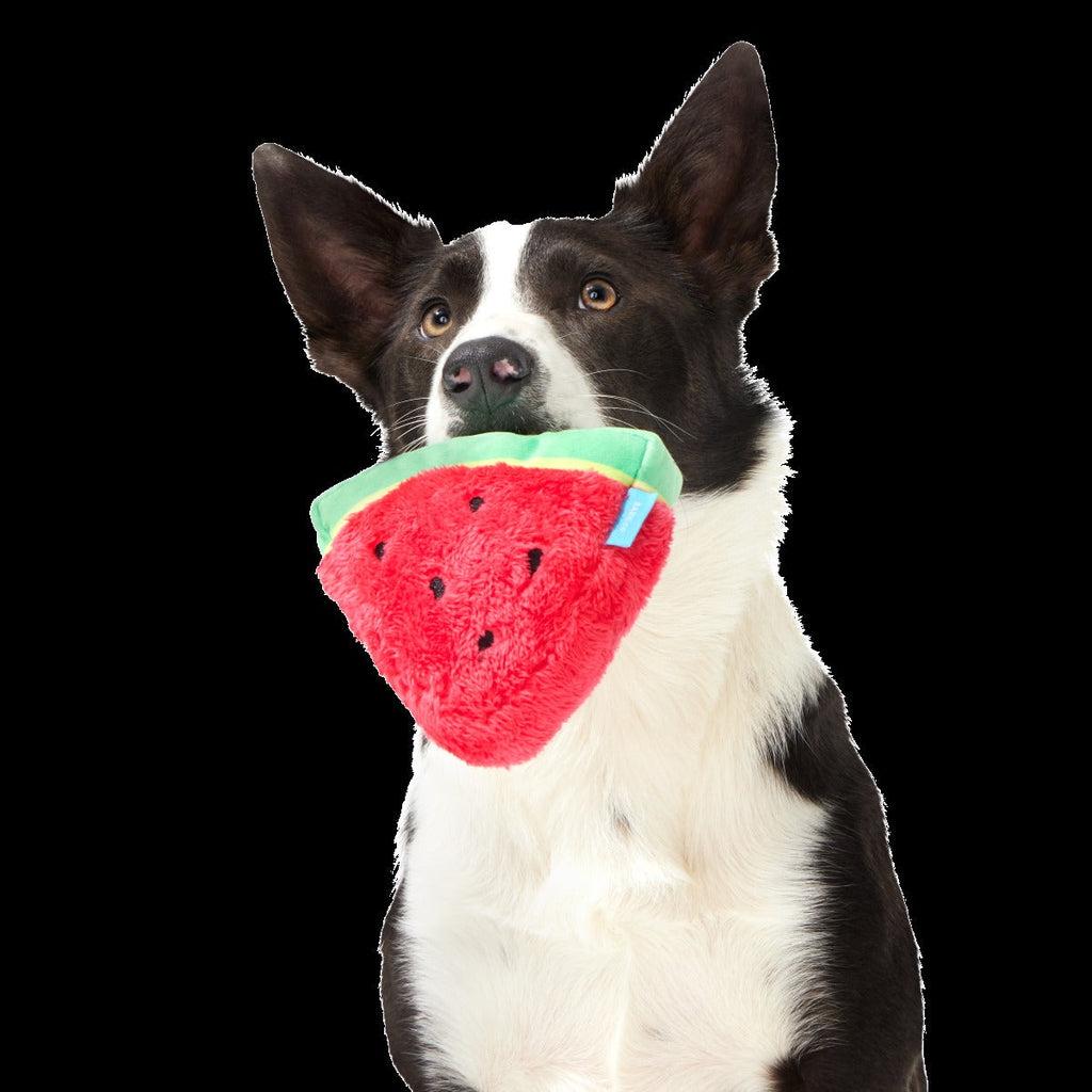 Slobbermelon Pop Plush Tug Dog Toy