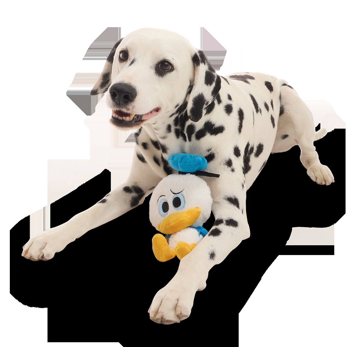 Squeaky Time Donald Plush 2-in-1 + Tug Dog Toy