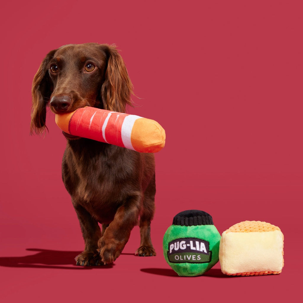 Primo Pawsto Plush Multi-Part Dog Toy
