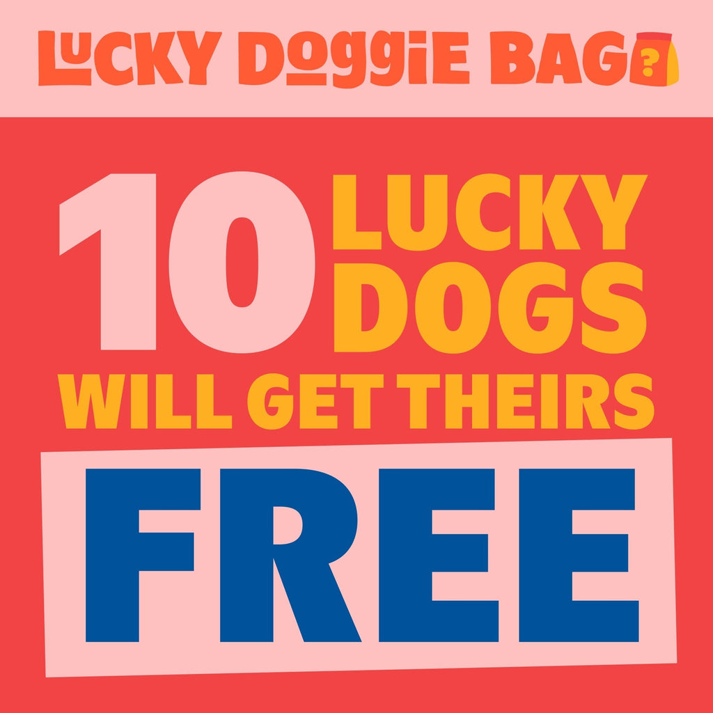 Lucky Doggie Bag