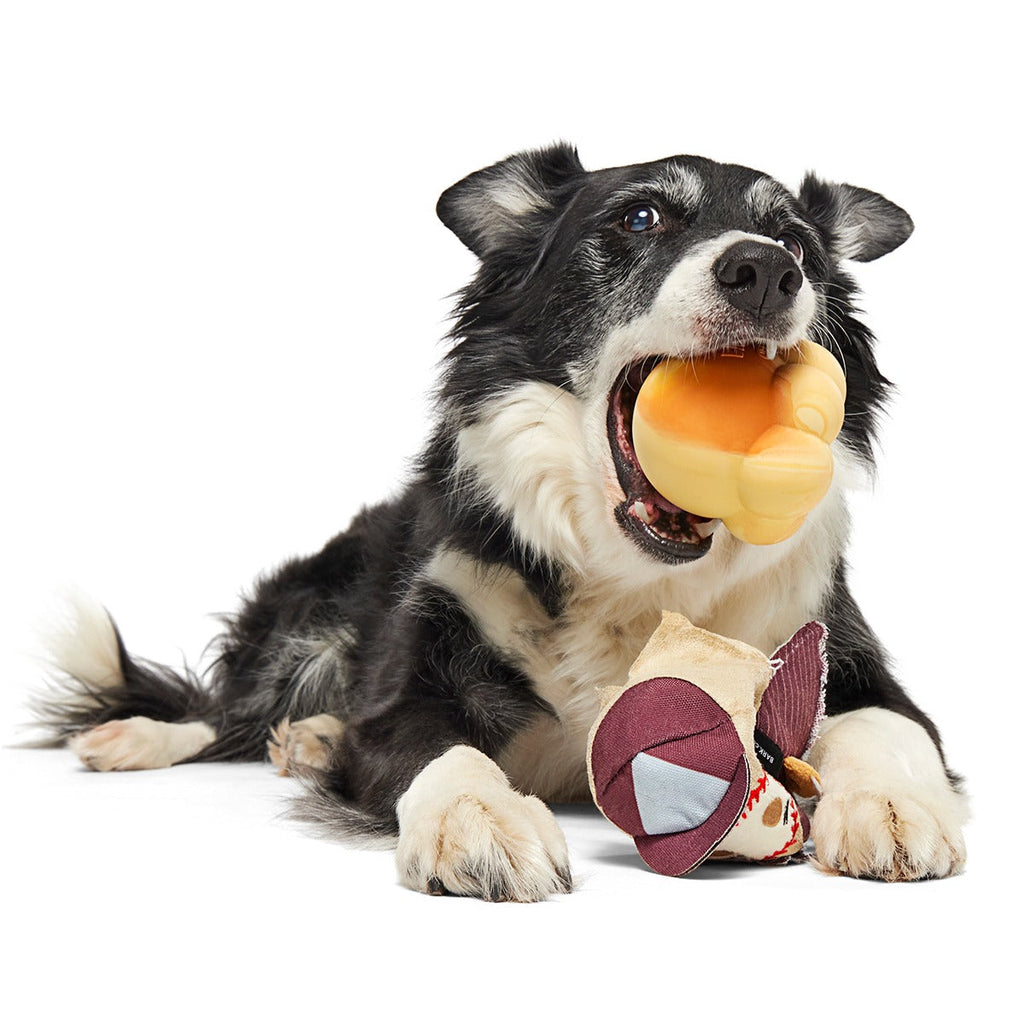 Crackin' Jake Super Chewer Durable 2-in-1 + Enrichment + Fetch Dog Toy