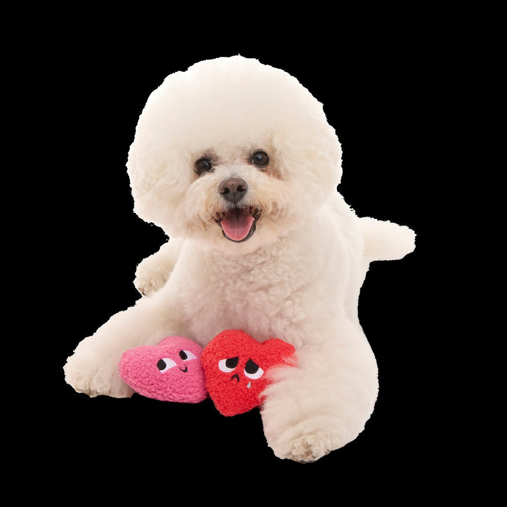 Love Me, Love Me Nots Plush Multi-Part Dog Toy