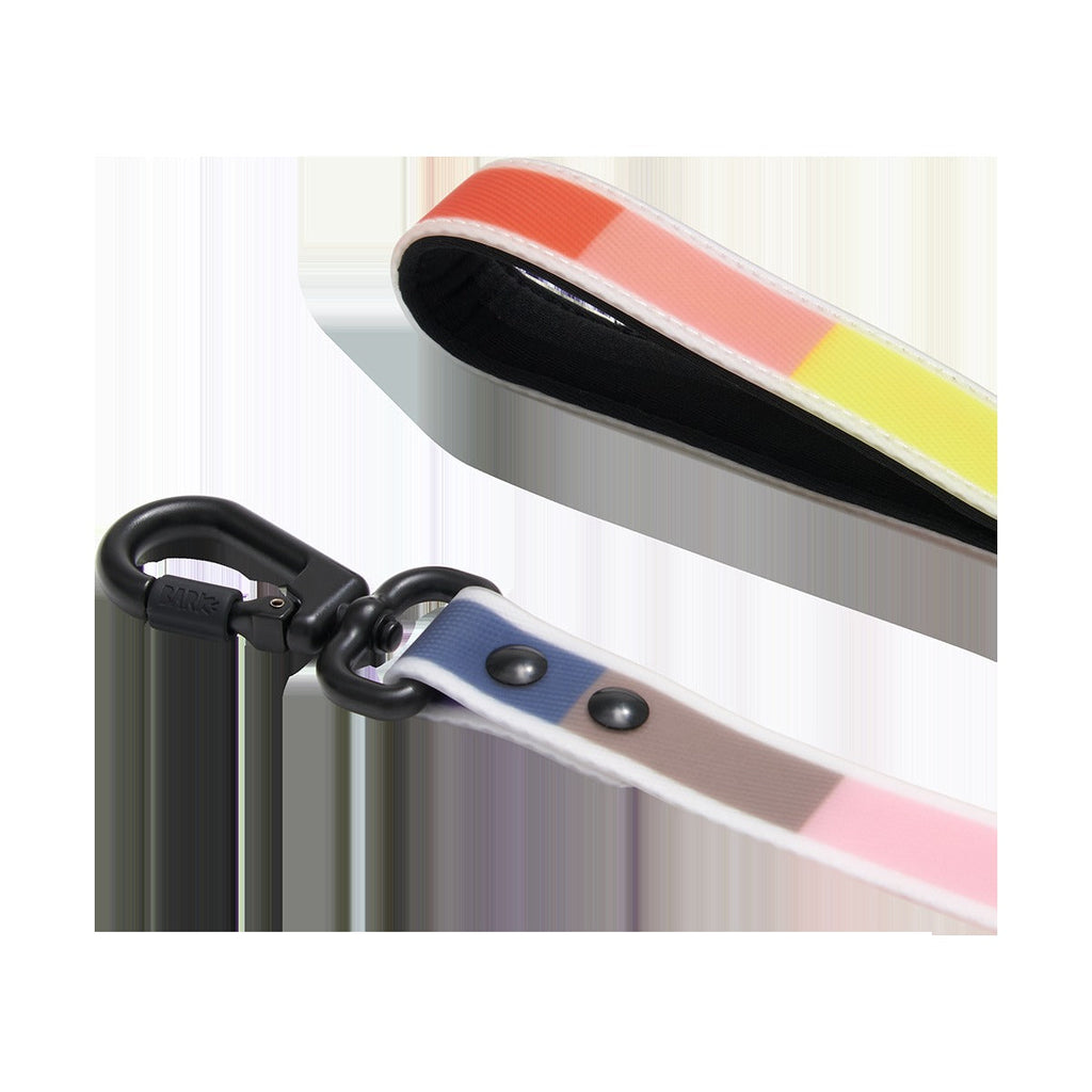 Pride Dog Walking Gear Bundle