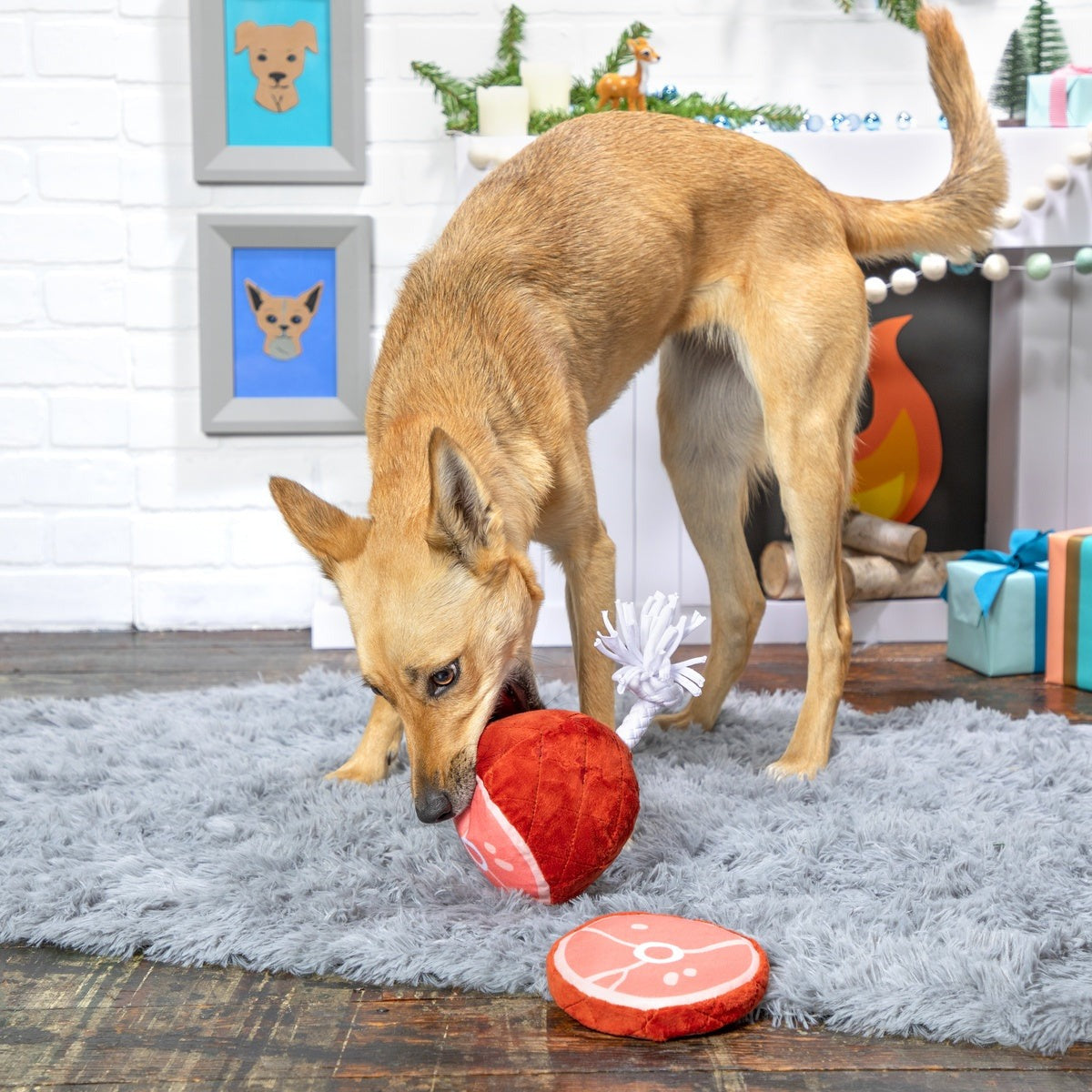 Wham Bam Ham Plush Tug Dog Toy