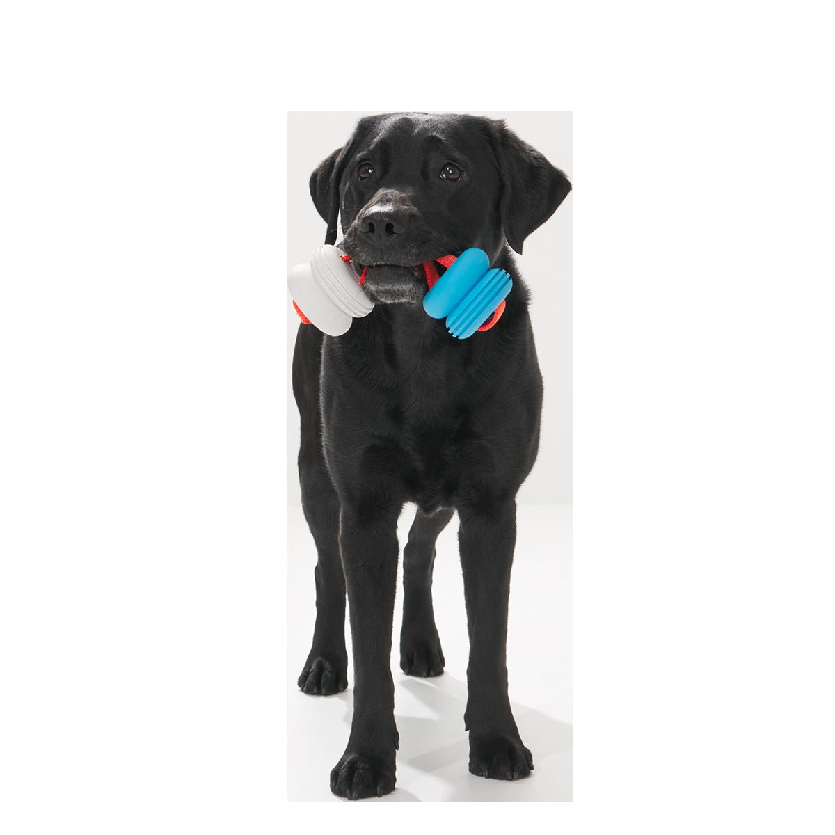 Swimming Pull Super Chewer Durable Tug Dog Toy