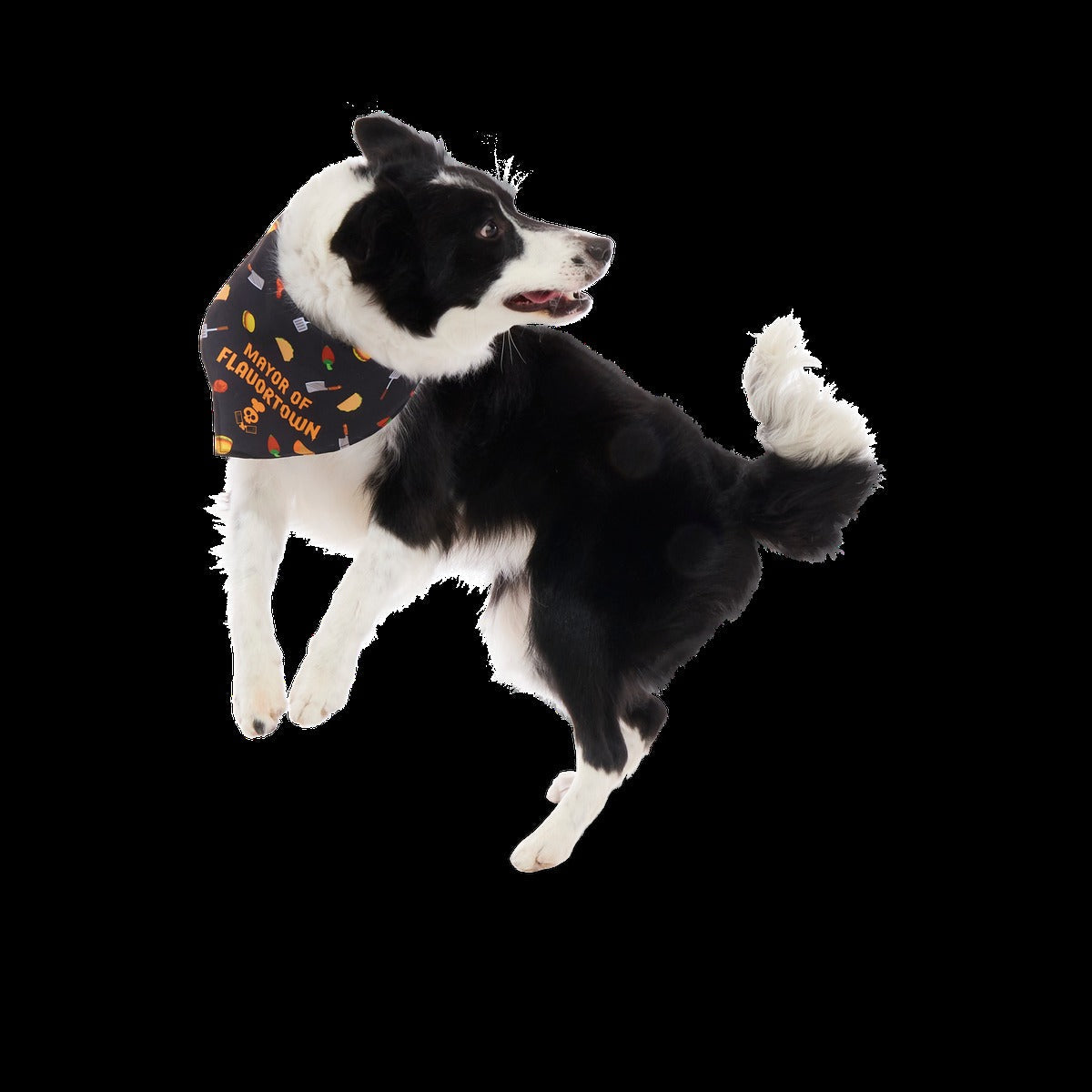 FlavortownTM Dog Bandana