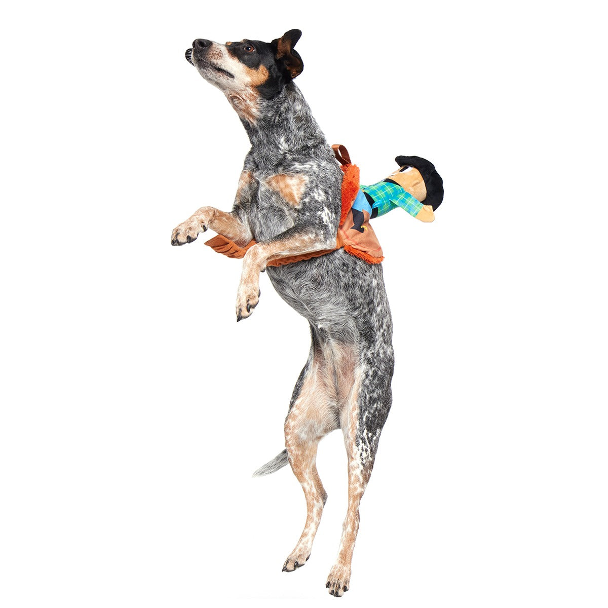 Rodeo Ralph Plush Wearable Tug Dog Toy
