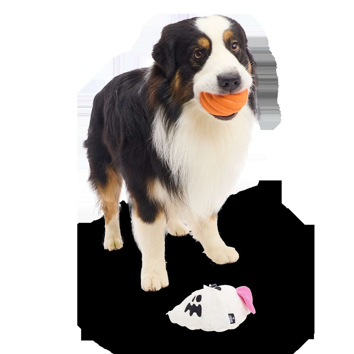 Boo Bee Super Chewer Durable 2-in-1 Dog Toy