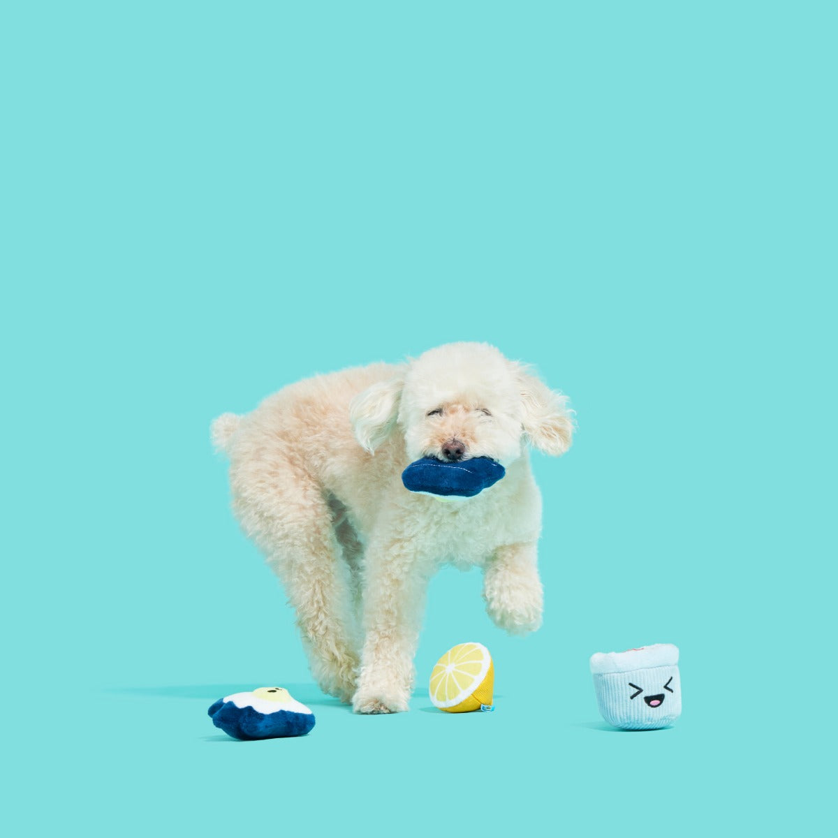 Shuck N' Chuck Toysters Plush Multi-Part Dog Toy