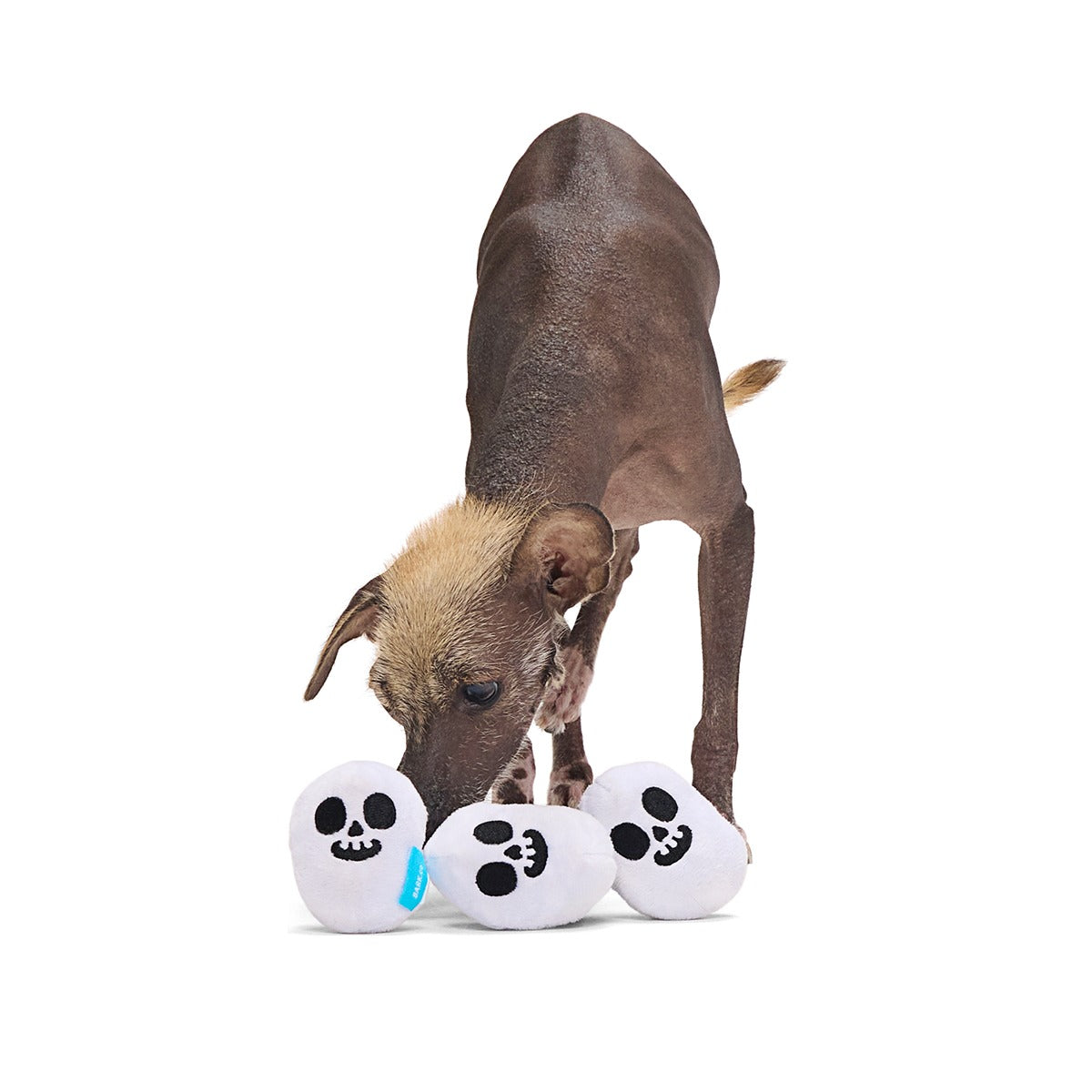 Re-Play Pack: Skelly Beans Plush Multi-Part Dog Toy