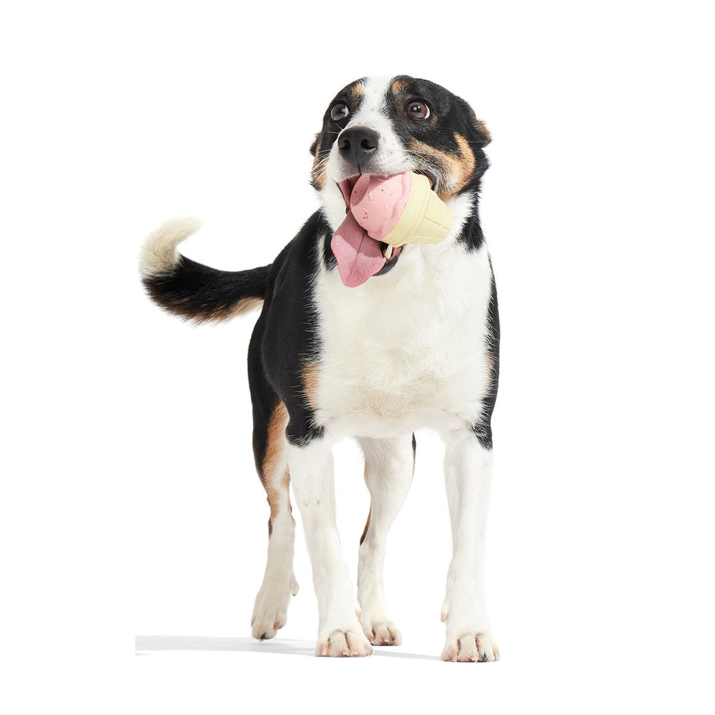 I Squeak Cone Super Chewer Durable Gnaw Dog Toy