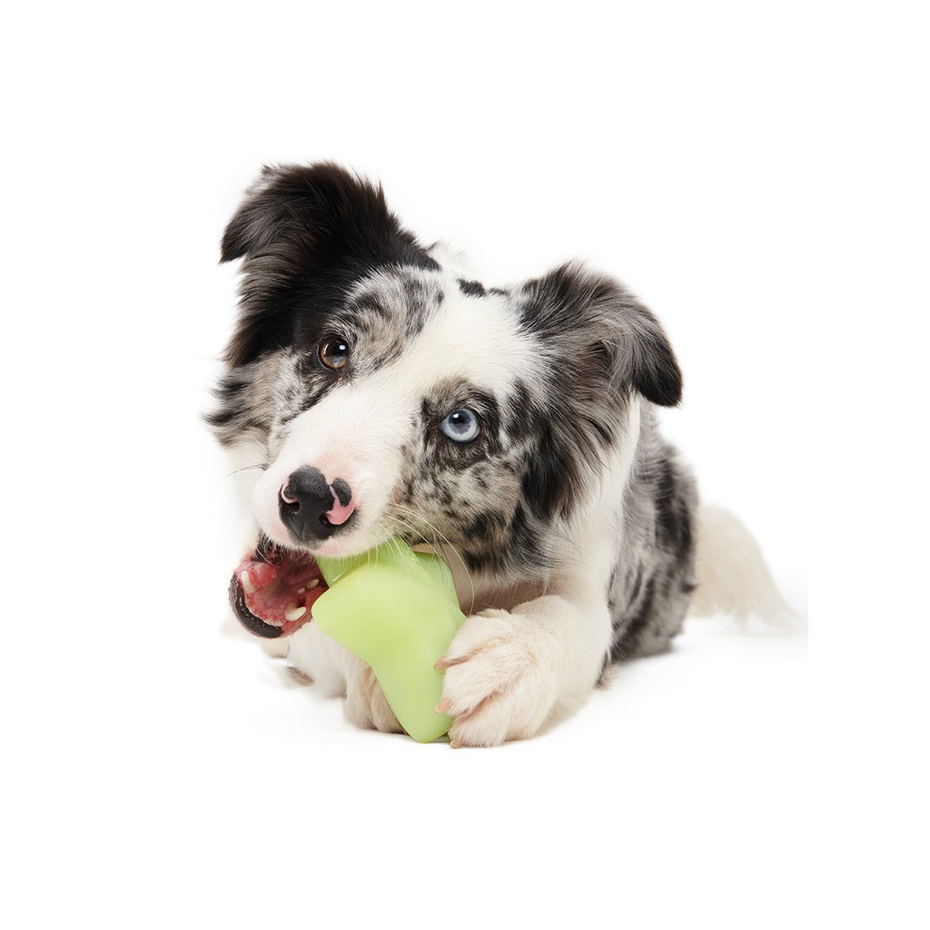 Shooting Starf Super Chewer Durable Gnaw Dog Toy