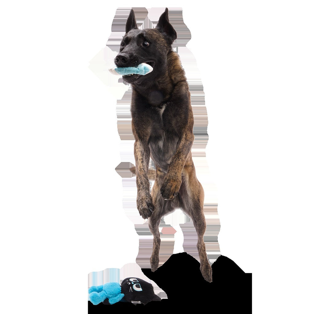 The Purrfect Crime Plush 2-in-1 + Tug Dog Toy