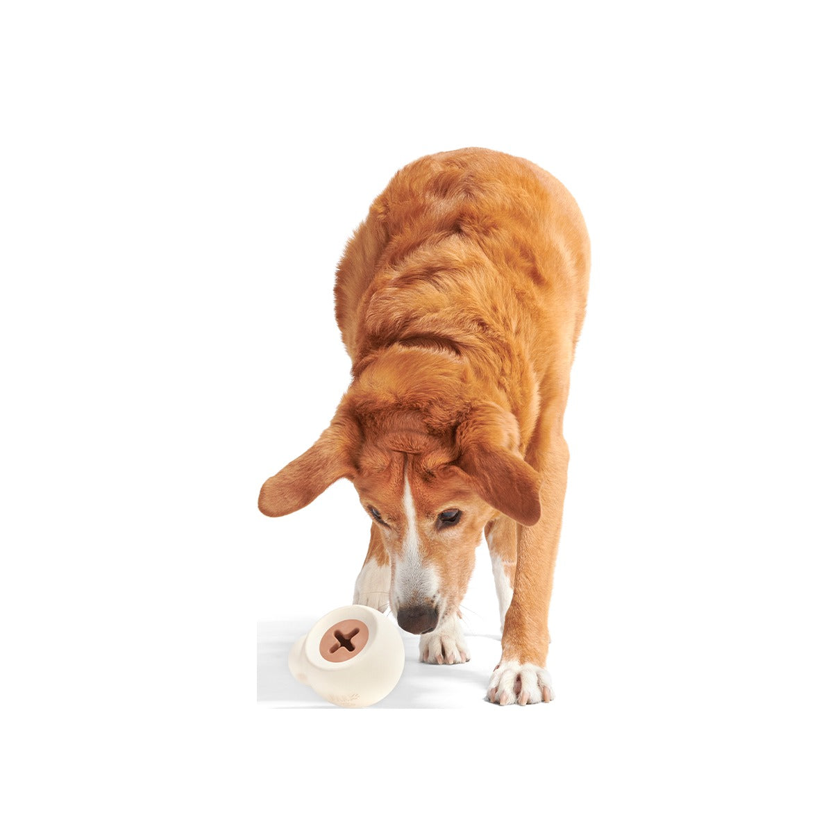 Yappucino Super Chewer Durable Enrichment Dog Toy