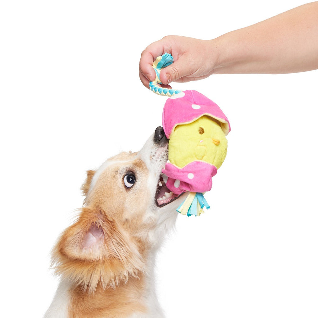 Peep-A-Bird Plush Tug Dog Toy