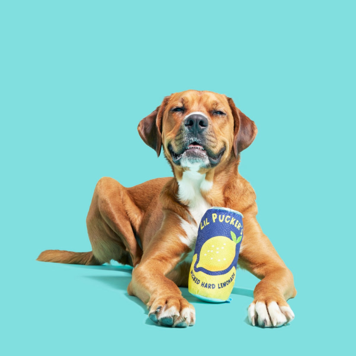 Lil' Pucker's Plush Dog Toy