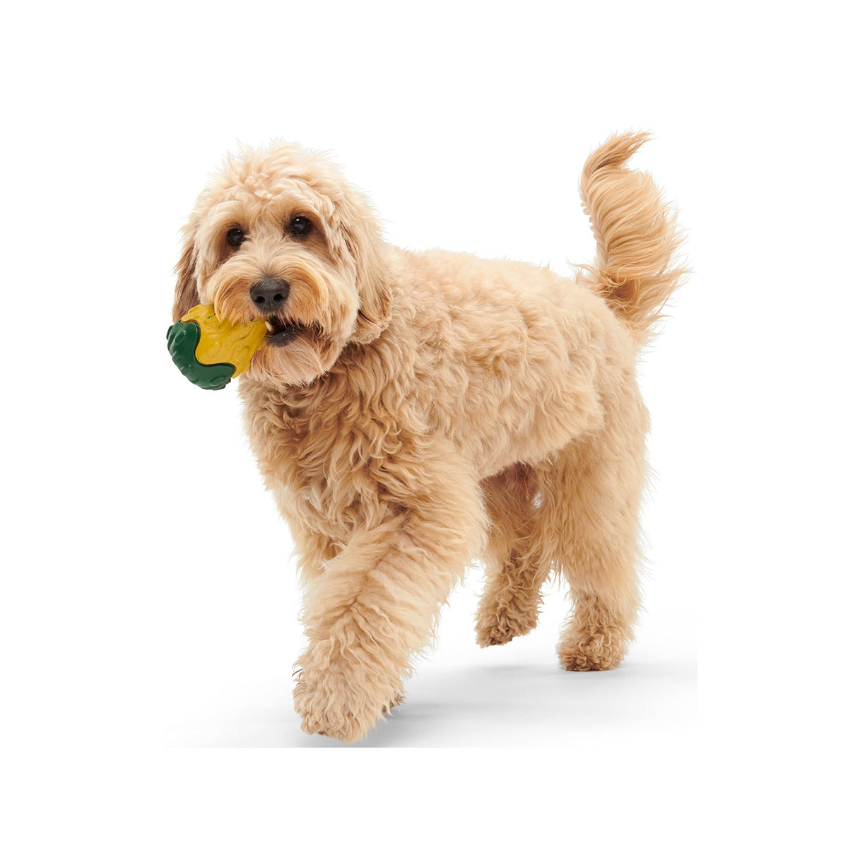 Good Gourd Gnaw Mighty Super Chewer Durable Dog Toy