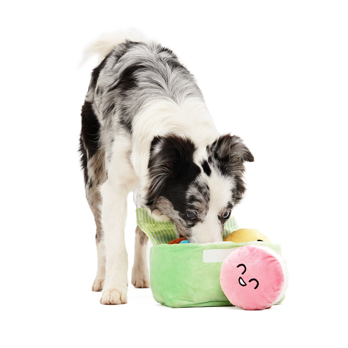 Wee Wee Macaroon Plush Multi-Part + Enrichment Dog Toy