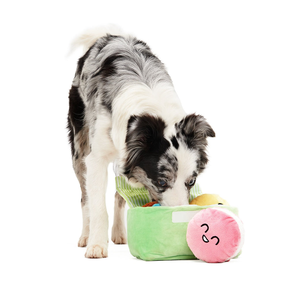 Wee Wee Macaroon Plush Multi-Part + Enrichment Dog Toy