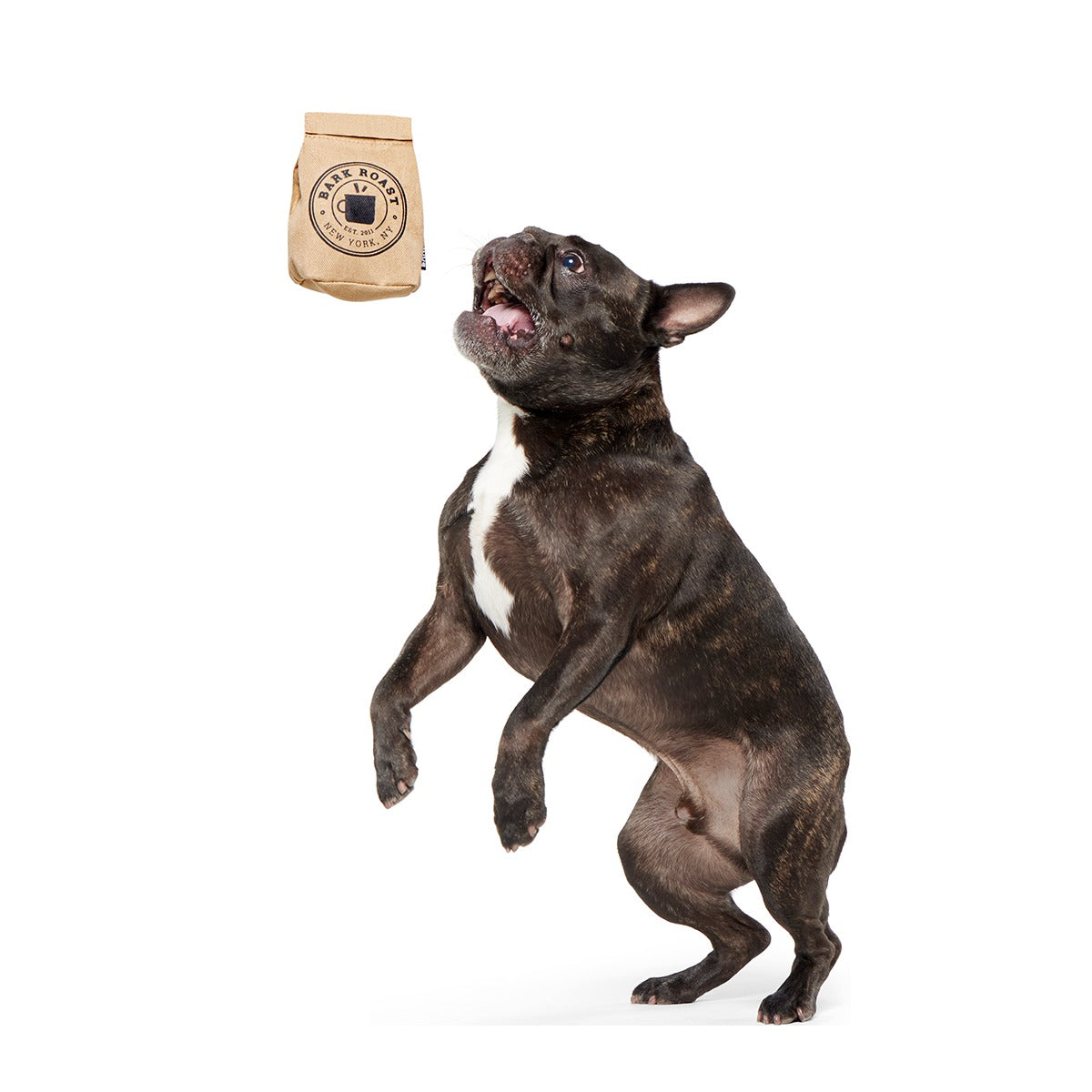 Jitter Pug Coffee Bean Super Chewer Durable 2-in-1 Dog Toy