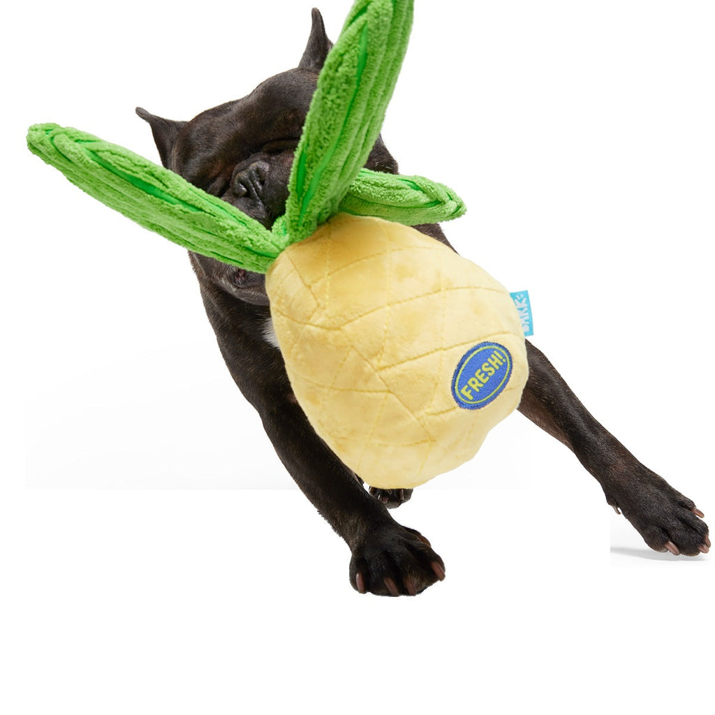 Spiky Pineyapple Plush Tug Dog Toy