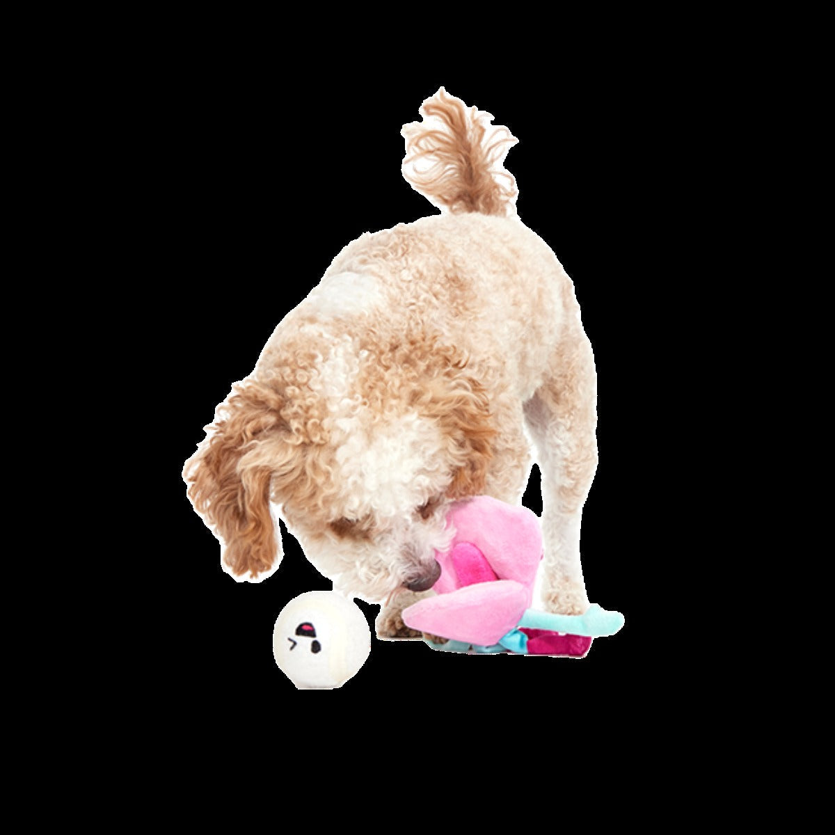 Clamantha Plush Multi-Part + Fetch + Enrichment Dog Toy