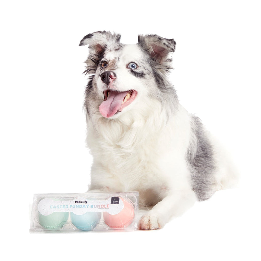 Easter Funday Bundle Super Chewer Durable Multi-Part + Fetch Dog Toy