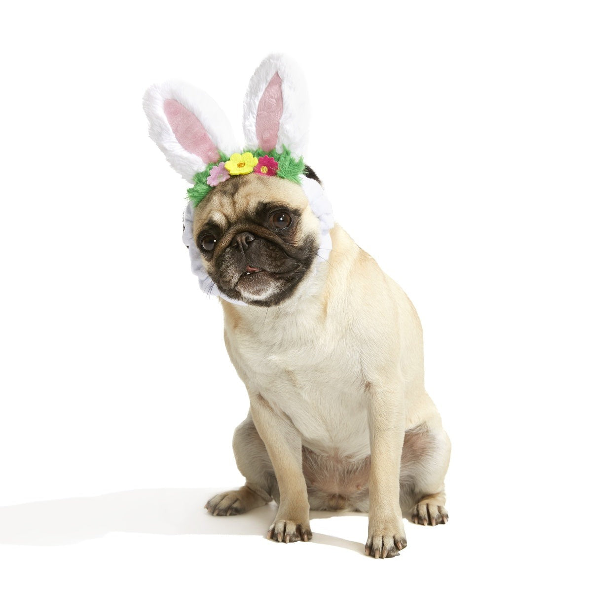 Hare Club Plush Wearable Dog Toy