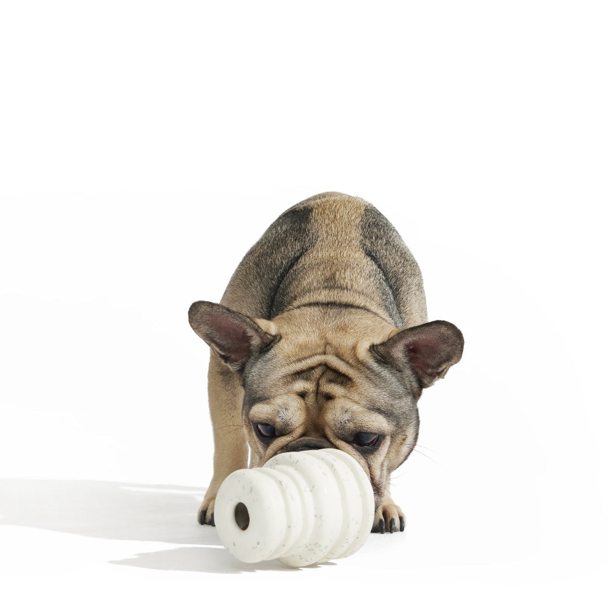 Tough Stuffed Cake Sweet Treater Super Chewer Durable Enrichment Dog Toy