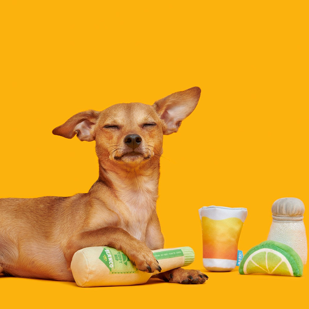 One Tugquila, Chew Tugquila Plush Multi-Part Dog Toy