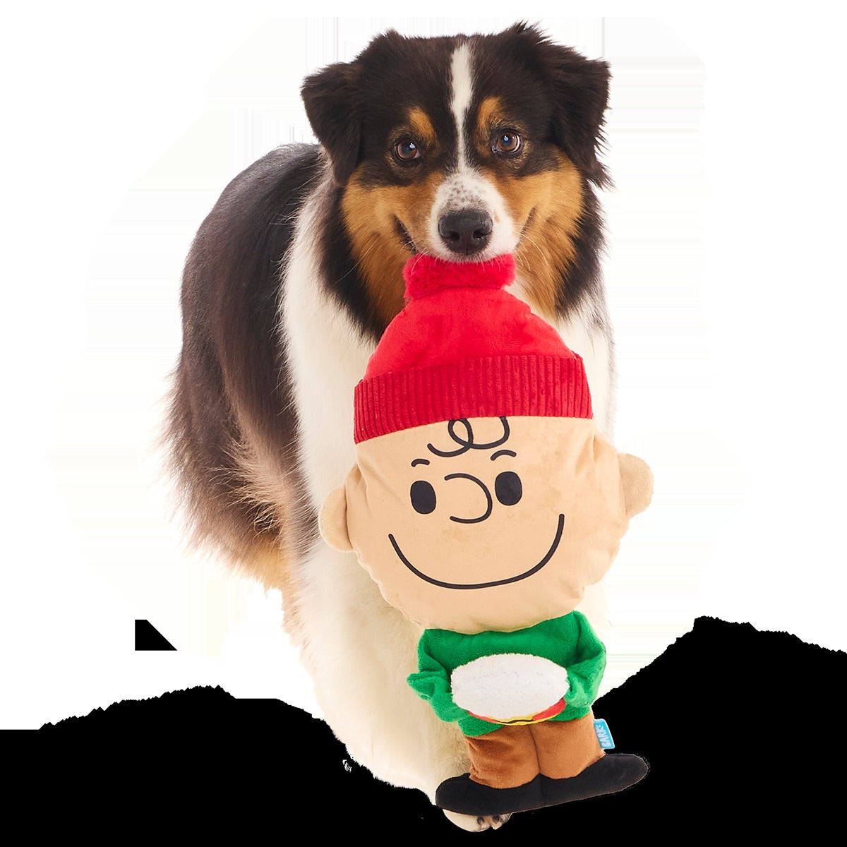 Hot Chocolate Charlie Brown Plush Extra-Large + Tug Dog Toy