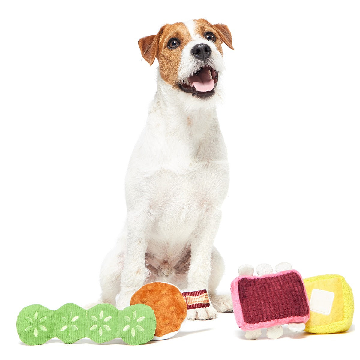 Squeak & Three Plush Multi-Part Dog Toy