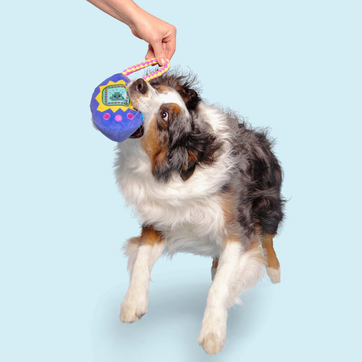 Gnawmagotchi Plush Tug Dog Toy