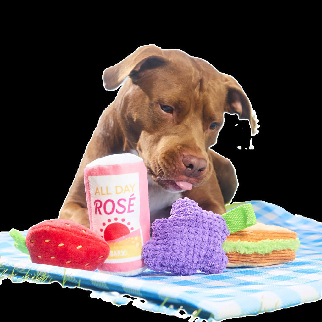 Licknic Pack Plush Multi-Part + Tug Dog Toy