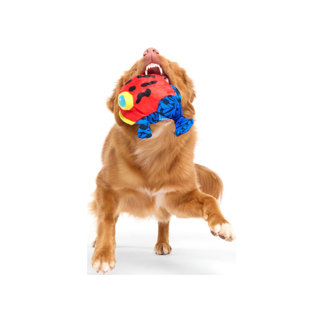 Freckles the Frog Plush 2-in-1 + Fetch Dog Toy