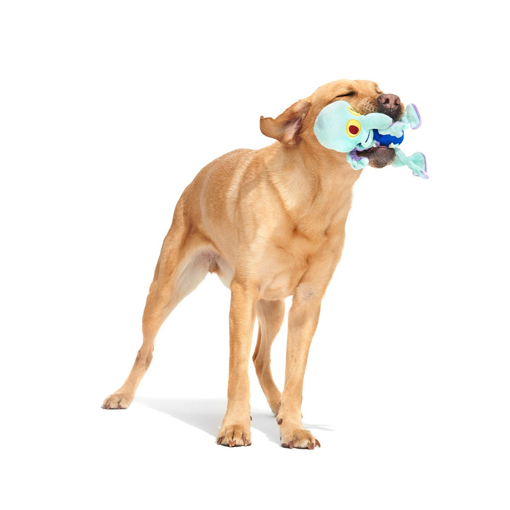 Dancing Squidward Plush Tug Dog Toy