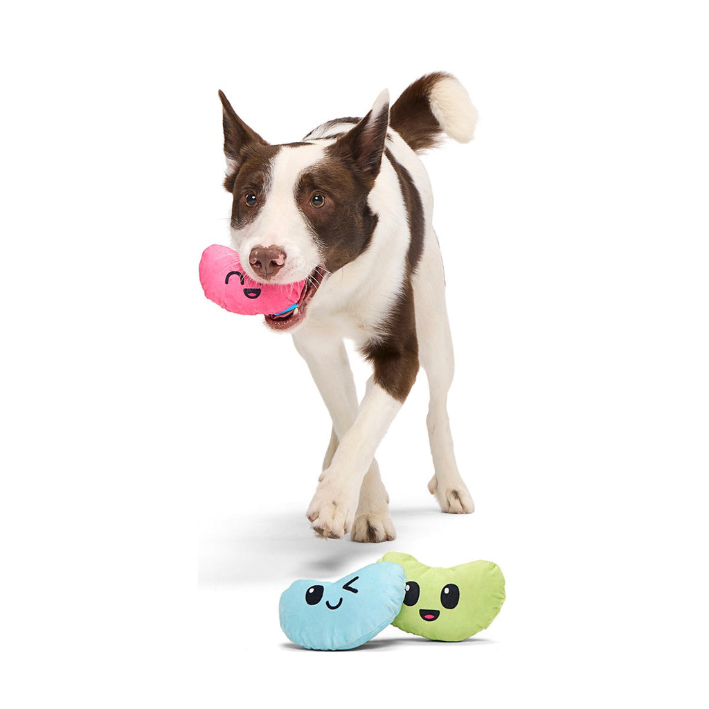 Re-Play Pack: Dr. Brindlecoat's Belly Beans Plush Multi-Part Dog Toy