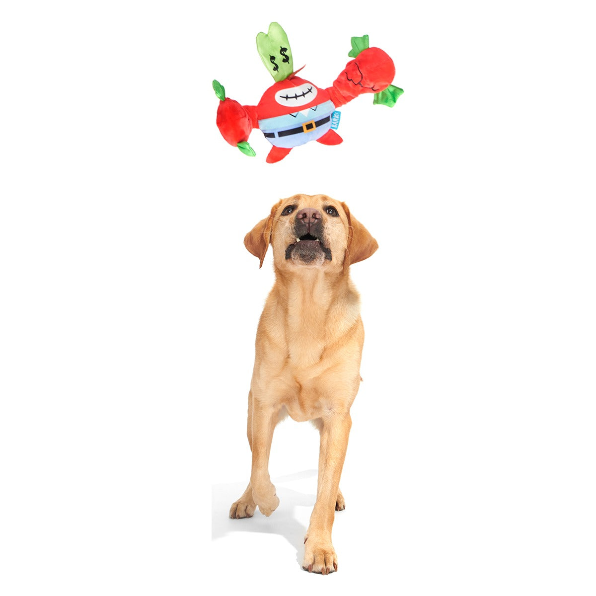Money-Tugging Mr. Krabs Plush Tug Dog Toy