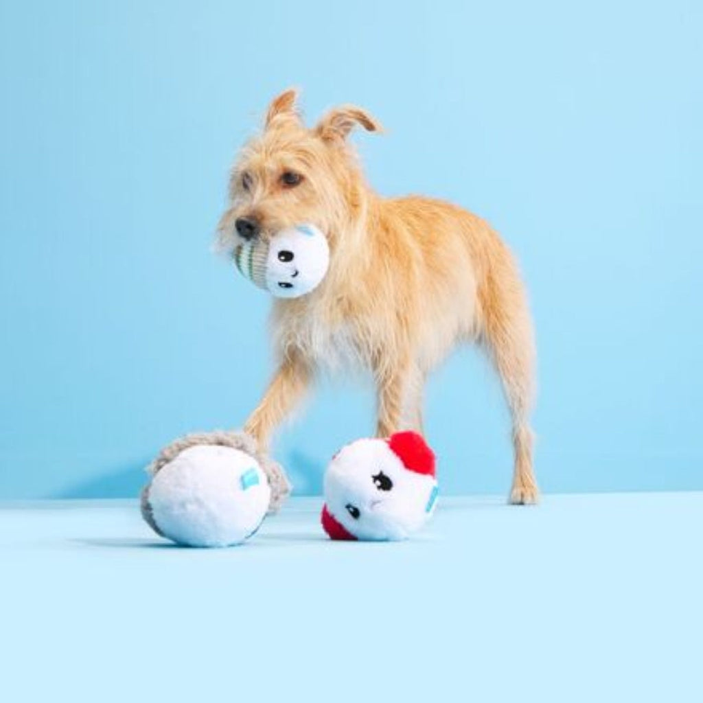 Ice, Ice, and Baby Plush Multi-Part Dog Toy