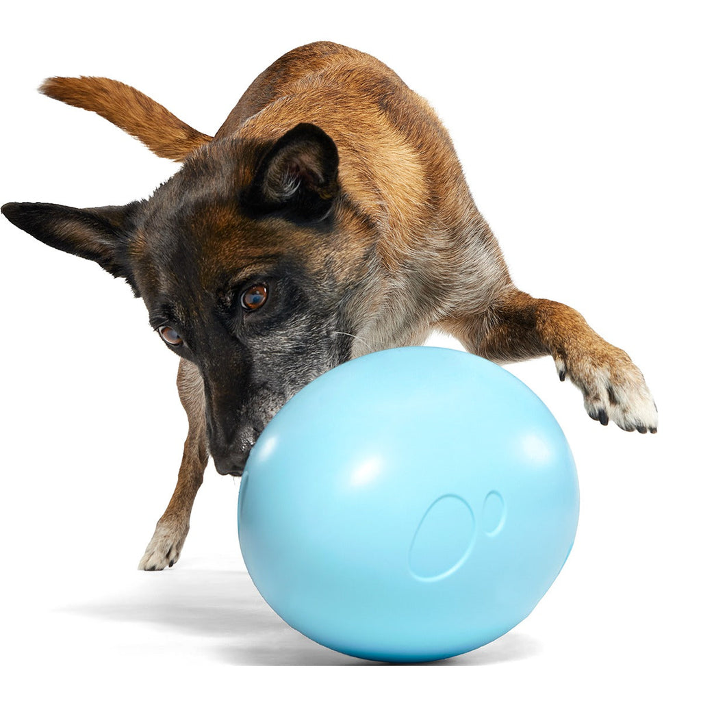 Eggstra Large Easter Egg Super Chewer Durable Extra-Large + Fetch Dog Toy
