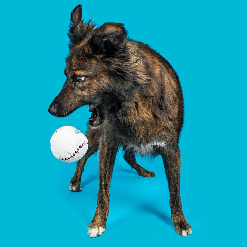 Major Lick Baseball Plush Fetch Dog Toy