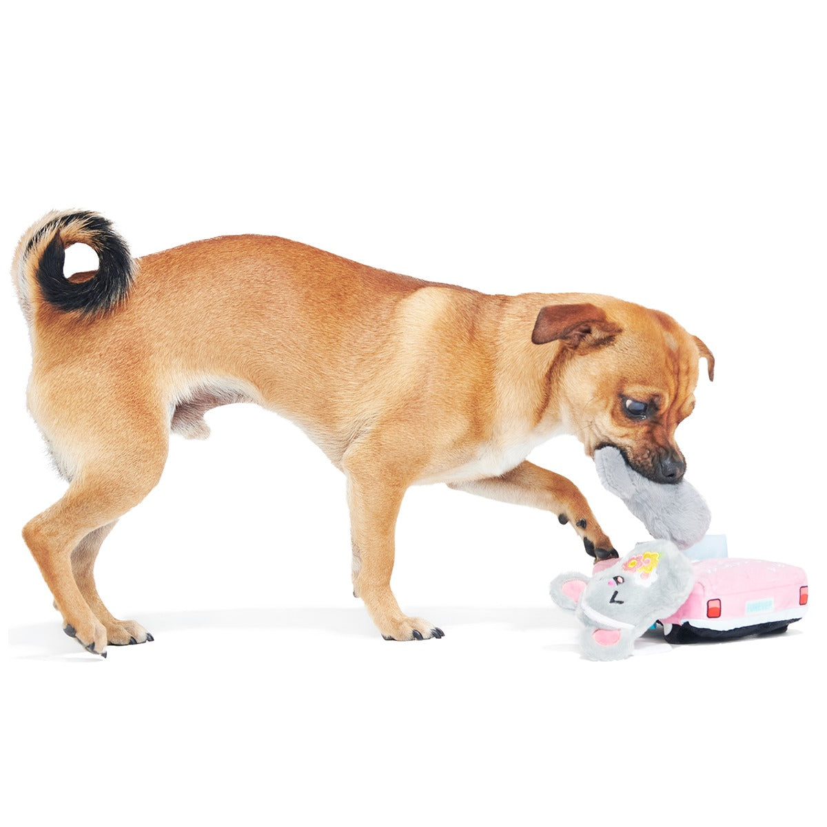 Mister and Mouses Plush Multi-Part Dog Toy