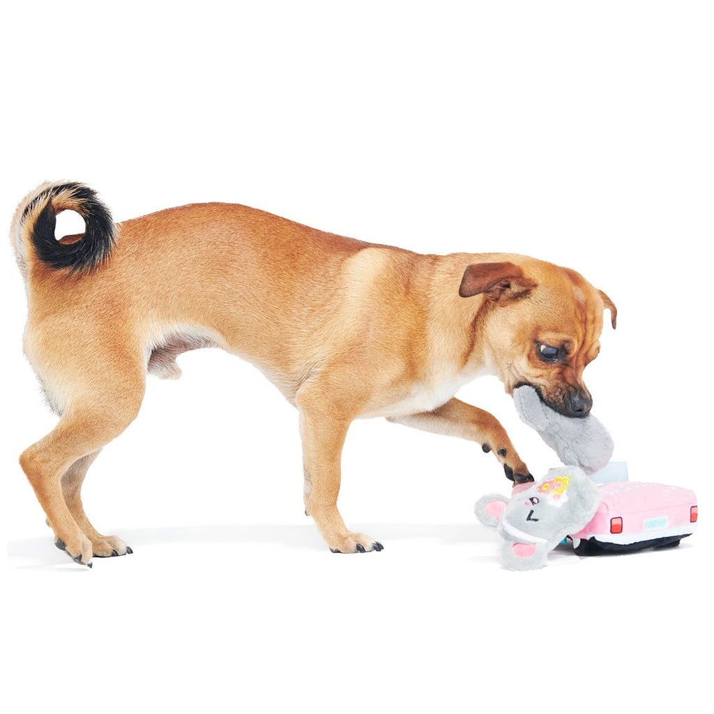 Mister and Mouses Plush Multi-Part Dog Toy