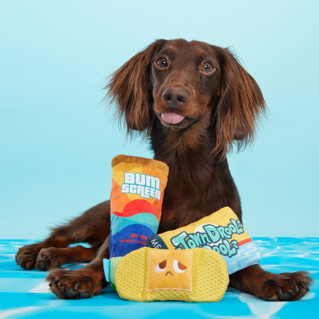 Drool Pool Packup Plush Multi-Part Dog Toy