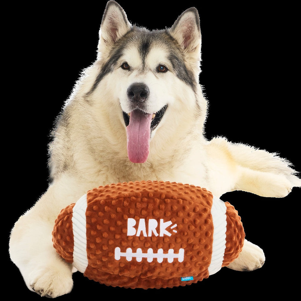 Wide Retriever Plush Extra-Large + Fetch Dog Toy