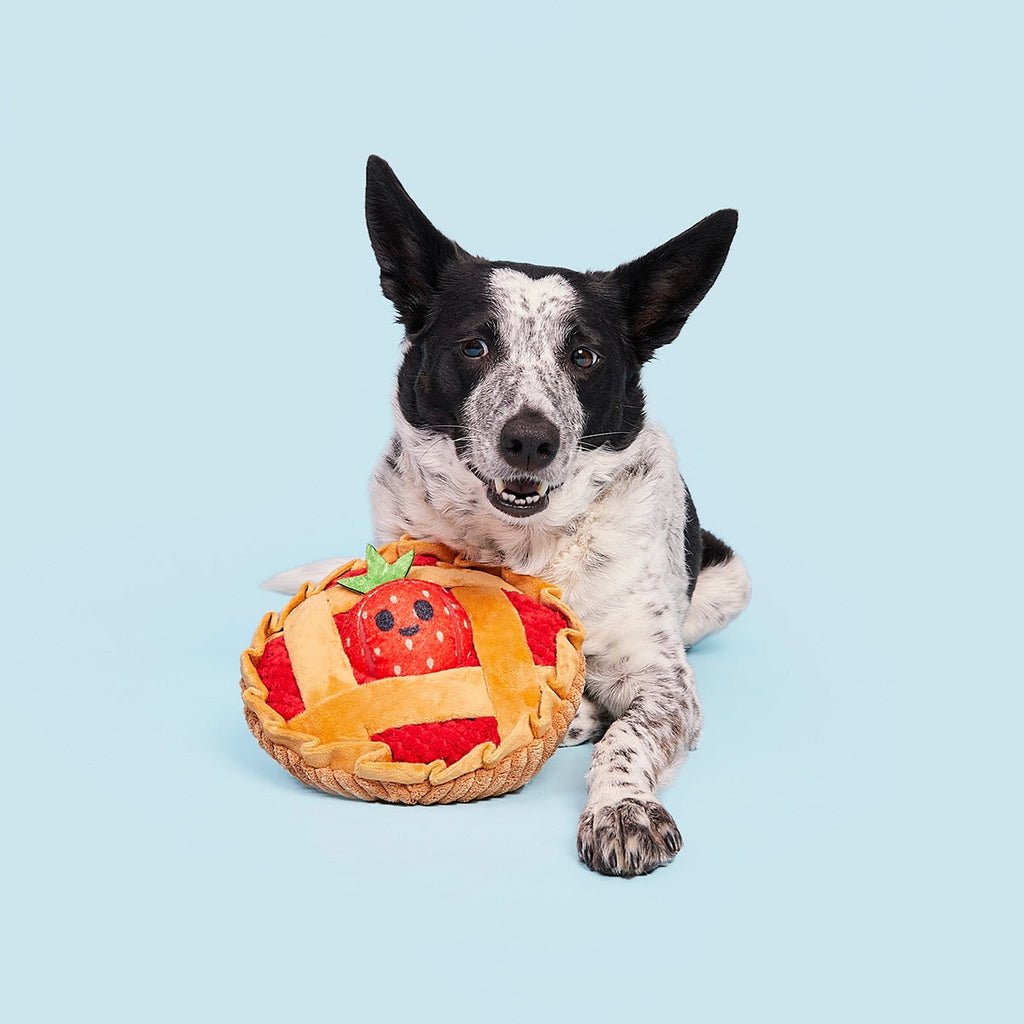 Strawberry Pie Plush Multi-Part + Enrichment Dog Toy